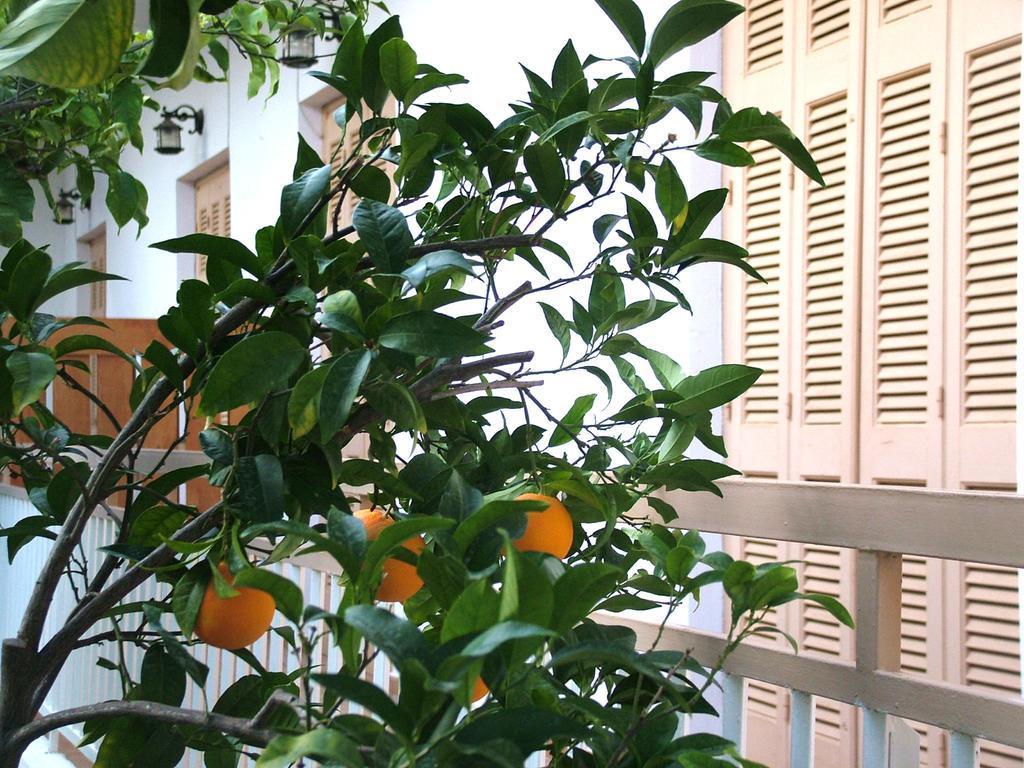 George'S Apartment Agia Marina  客房 照片