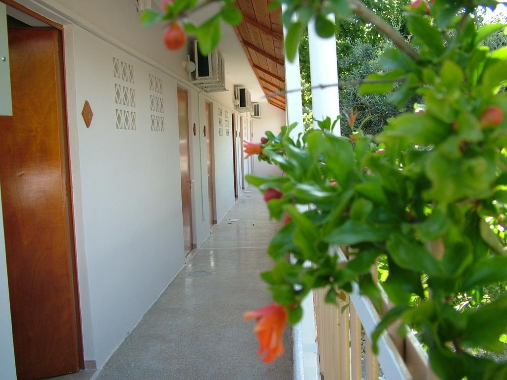 George'S Apartment Agia Marina  客房 照片