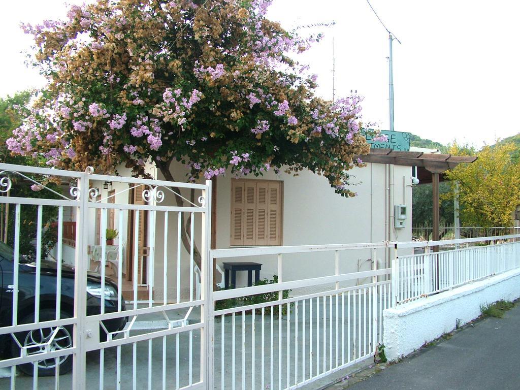 George'S Apartment Agia Marina  客房 照片